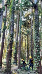 鉄道林ワークショップ・JR東日本東京建設PMO×ぷらーす